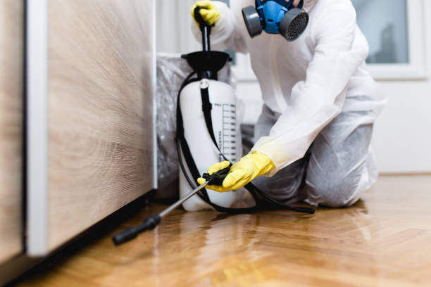 Best Pest Removal Services  in Valley Forge, TN