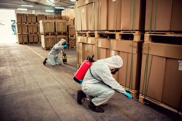 Best Exterminator Services  in Valley Forge, TN