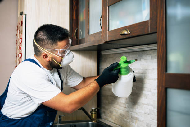 Best Bed Bug Extermination  in Valley Forge, TN
