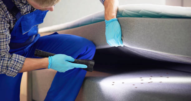 Best Pest Inspection Near Me  in Valley Forge, TN