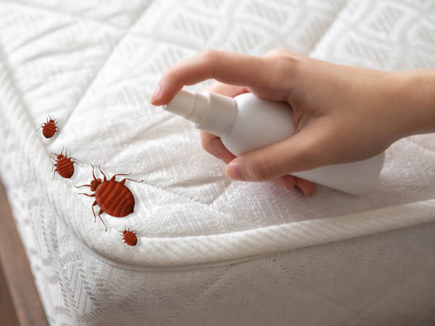 Best Commercial Pest Control Services  in Valley Forge, TN