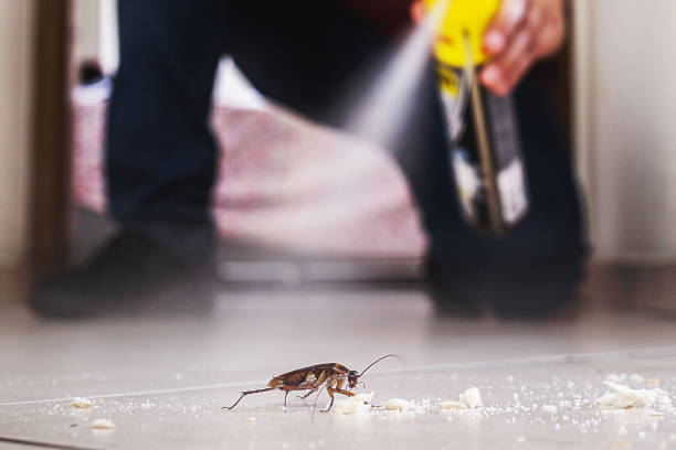Best Cockroach Control Services  in Valley Forge, TN