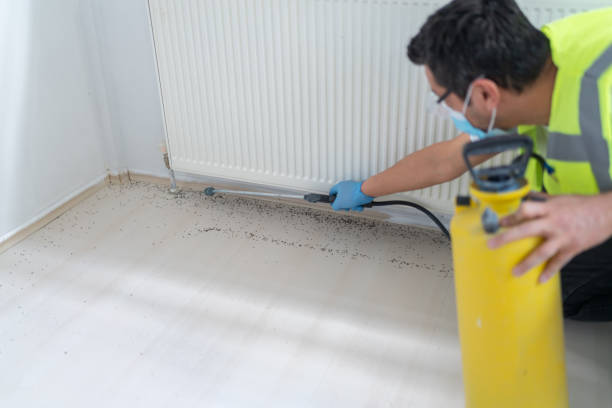 Best Mosquito Control Services  in Valley Forge, TN