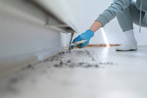 Best Pest Control for Businesses  in Valley Forge, TN