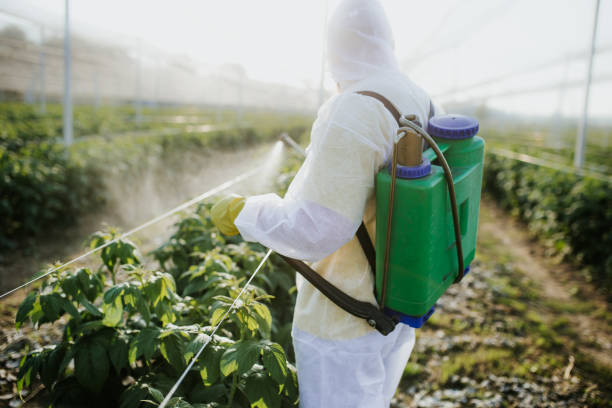 Trusted Valley Forge, TN Pest Control Experts